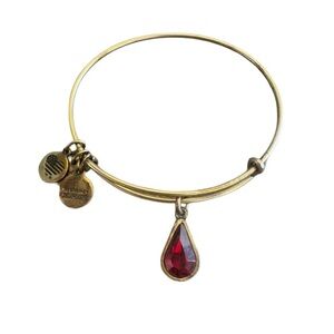 Alex and Ani Gold Bracelet with Red Crystal Charm
